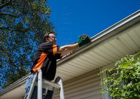 Gutter Guy