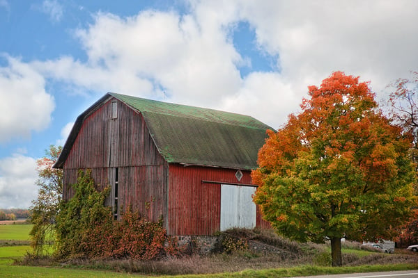 stockvault-red-barn218312