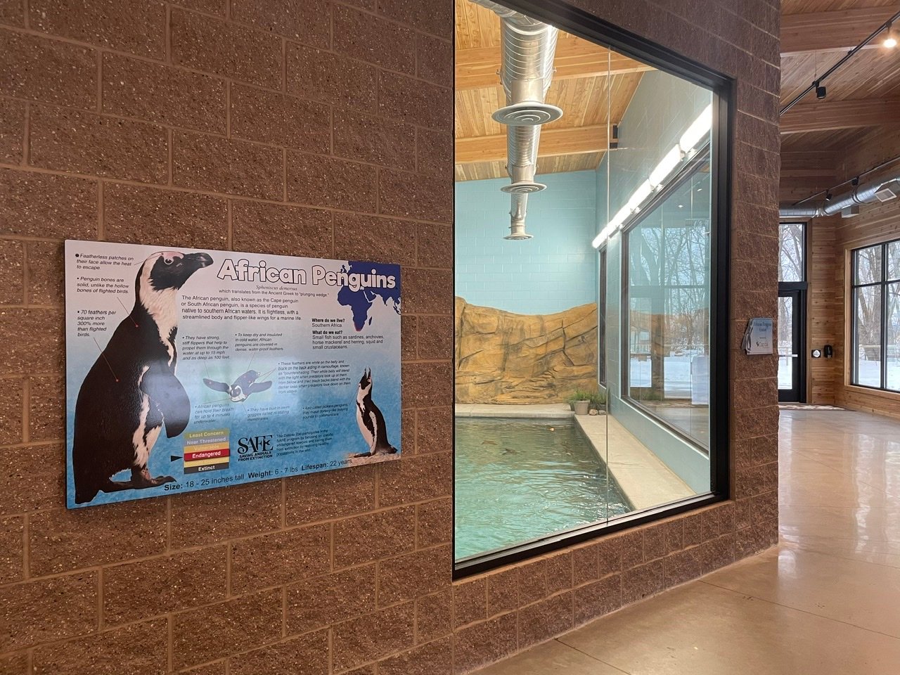 SIP penguin enclosure